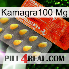 Kamagra100 Mg new01